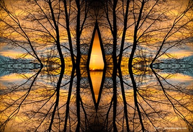 Looking Through The Trees Abstract Fine Art