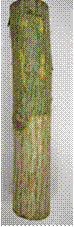 clip_image004[6]
