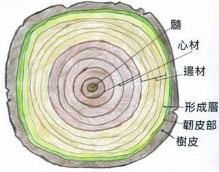 clip_image044