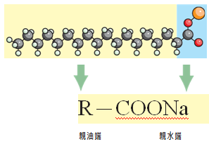 擷取