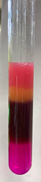 clip_image028