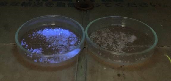 clip_image006[4]